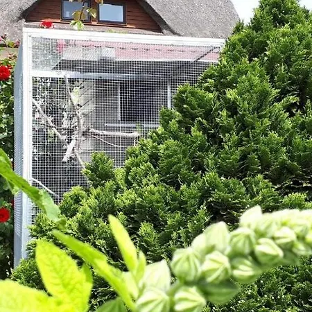 Moenchgut Boddenblick 2 * Groß Zicker