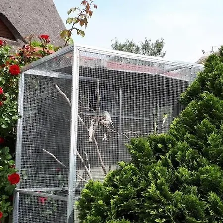 Moenchgut Boddenblick 2 Groß Zicker